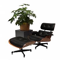 D’après Charles Eames