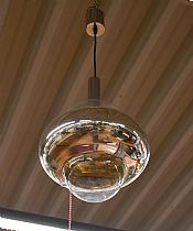 ELY25050533.jpg