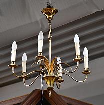 ELY25050593.jpg