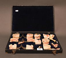 ELY25090914.jpg