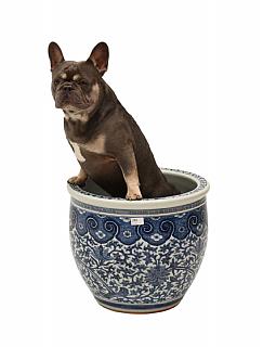 Lot 295 Chine
