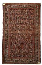 Tapis